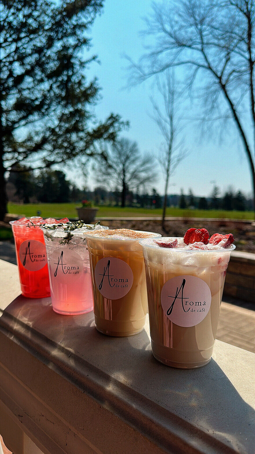 Aroma de Cafe at The Drake Oak Brook