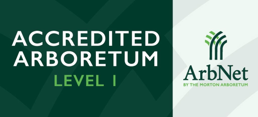 a green and white background with white text